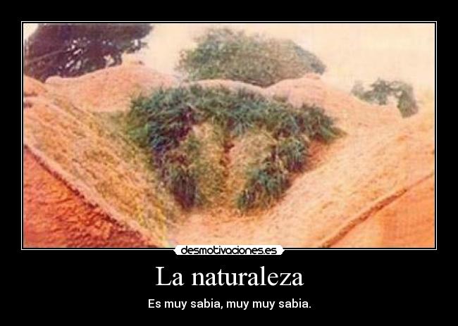 carteles naturaleza naturaleza desmotivaciones