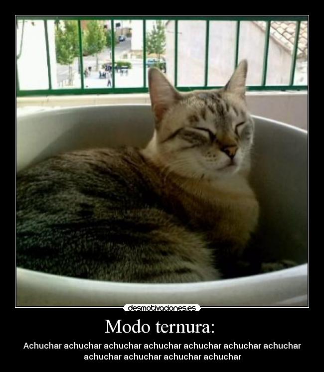 Modo ternura: - Achuchar achuchar achuchar achuchar achuchar achuchar achuchar
achuchar achuchar achuchar achuchar