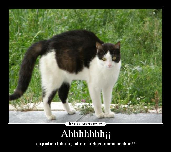 Ahhhhhhh¡¡ - es justien bibrebi, bibere, bebier, cómo se dice??