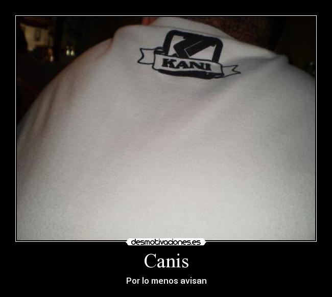 Canis - 