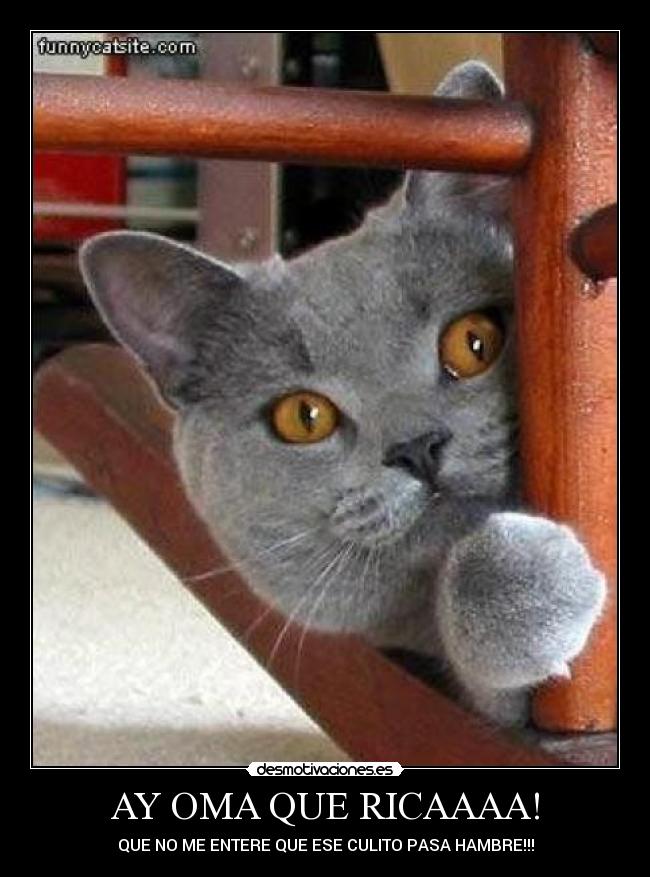 carteles parecia tonto cuando compramos desmotivaciones