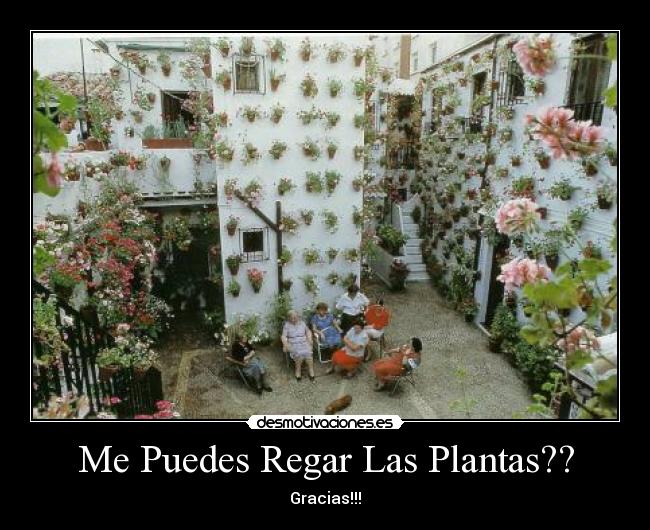 Me Puedes Regar Las Plantas?? - Gracias!!!