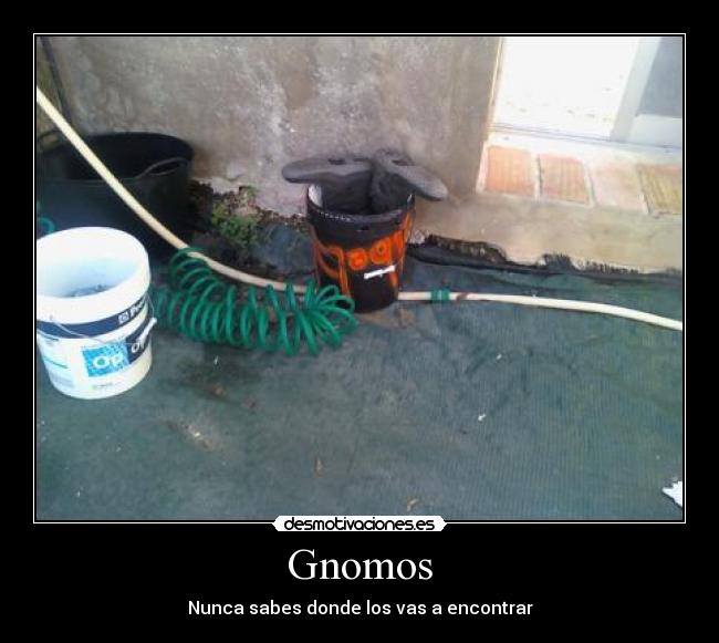 Gnomos - Nunca sabes donde los vas a encontrar