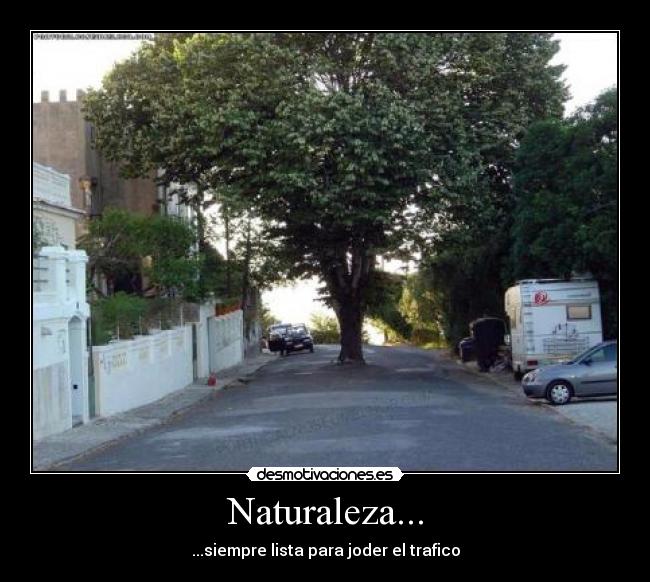 carteles naturaleza naturaleza desmotivaciones