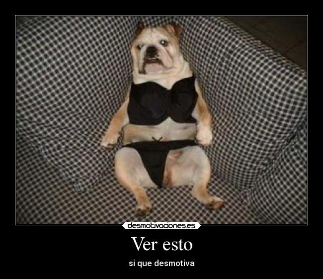 carteles  desmotivaciones