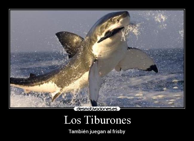 Los Tiburones - También juegan al frisby