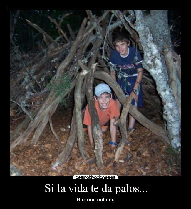 carteles vida vida palos cabana crear hacer felicidad desmotivaciones