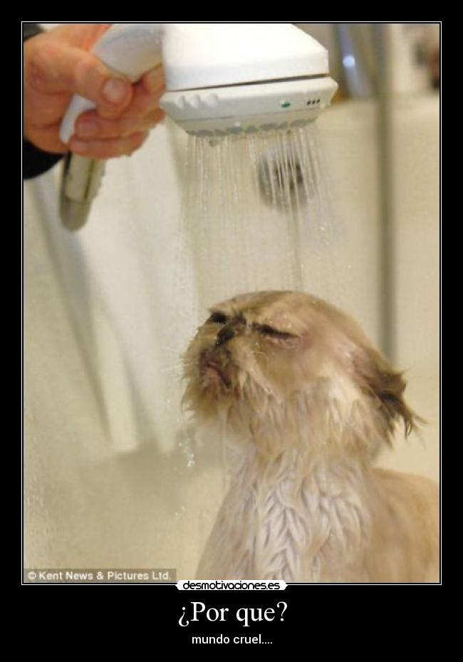 ¿Por que? -