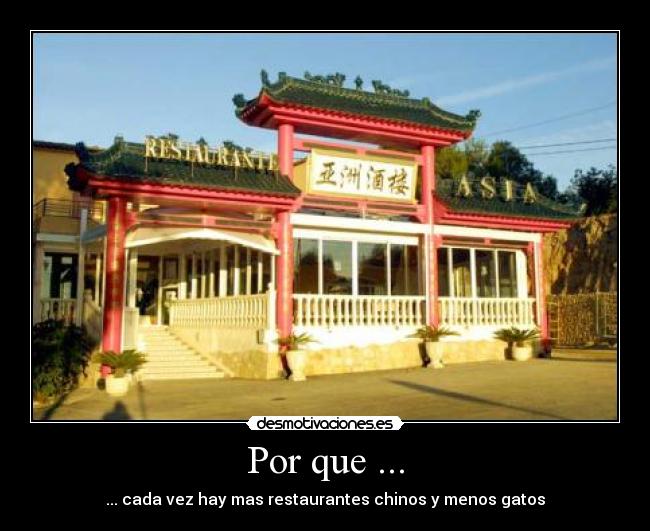 Por que ... - ... cada vez hay mas restaurantes chinos y menos gatos