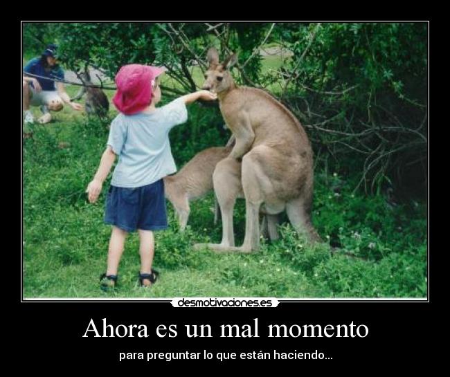 Ahora es un mal momento - 