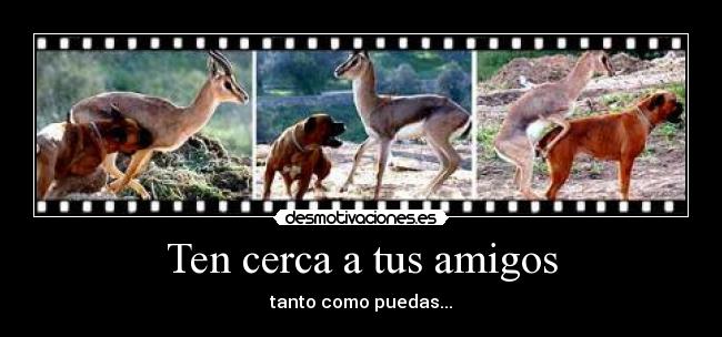 carteles amigos amigos desmotivaciones