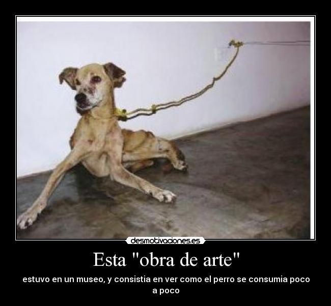 carteles arte obra arte cruel desmotivaciones