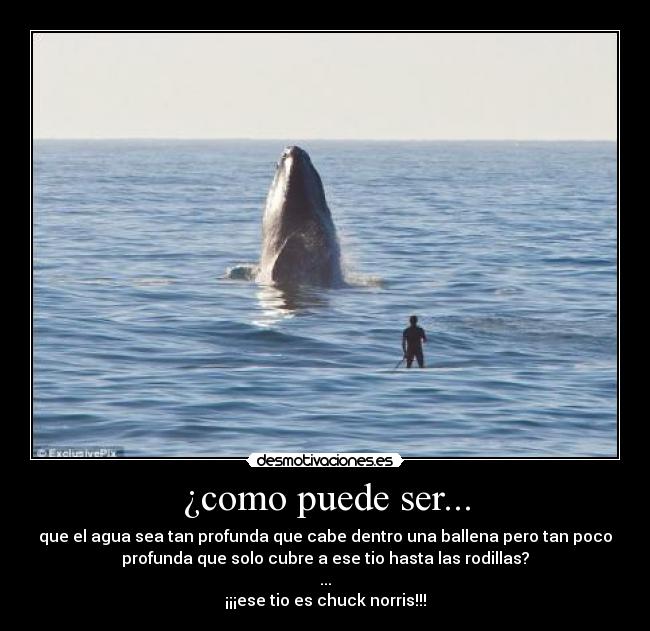 ¿como puede ser... - que el agua sea tan profunda que cabe dentro una ballena pero tan poco
profunda que solo cubre a ese tio hasta las rodillas?
...
¡¡¡ese tio es chuck norris!!!