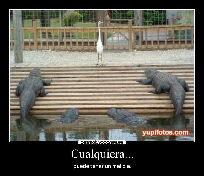 Cualquiera... - puede tener un mal dia.