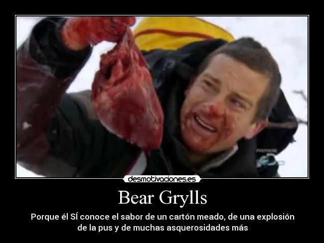 Bear Grylls - Porque él SÍ conoce el sabor de un cartón meado, de una explosión
de la pus y de muchas asquerosidades más