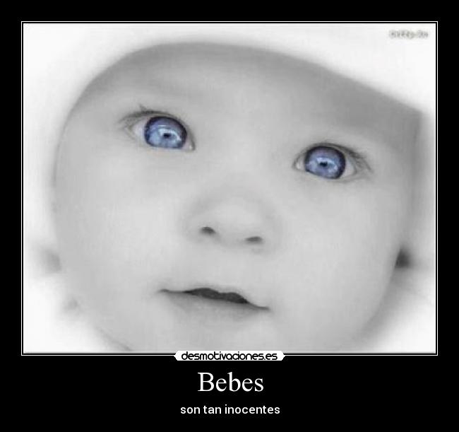 carteles bebes desmotivaciones