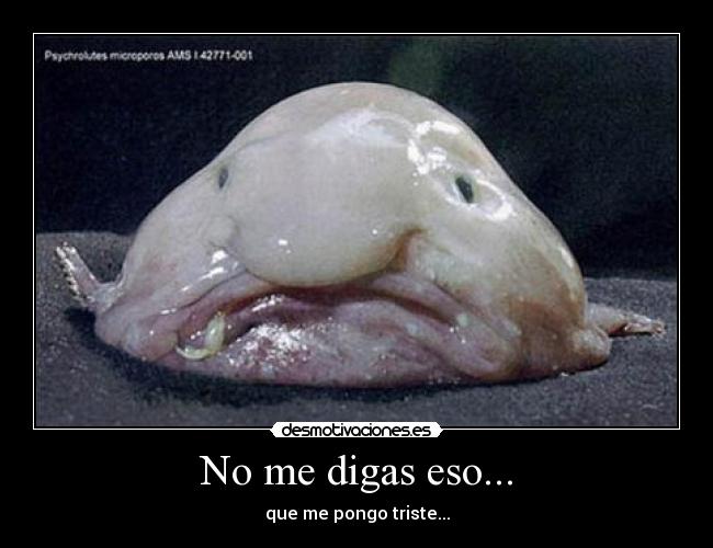 No me digas eso... - 