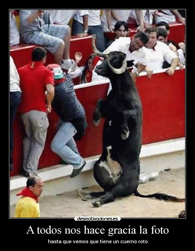 A todos nos hace gracia la foto -