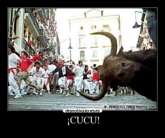 ¡CUCU! -
