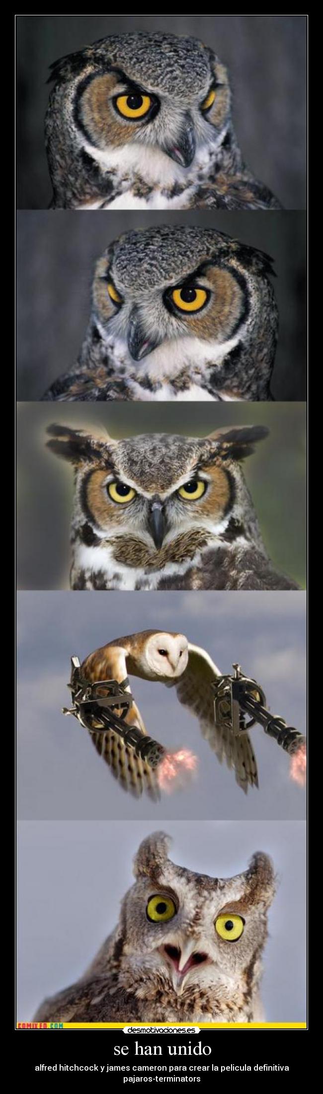 se han unido - alfred hitchcock y james cameron para crear la pelicula definitiva
pajaros-terminators