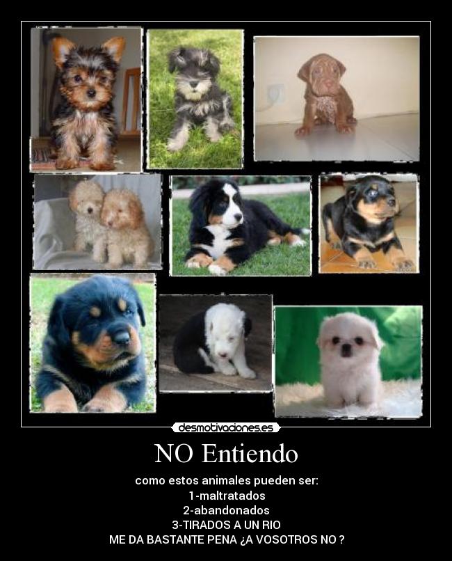 NO Entiendo -
