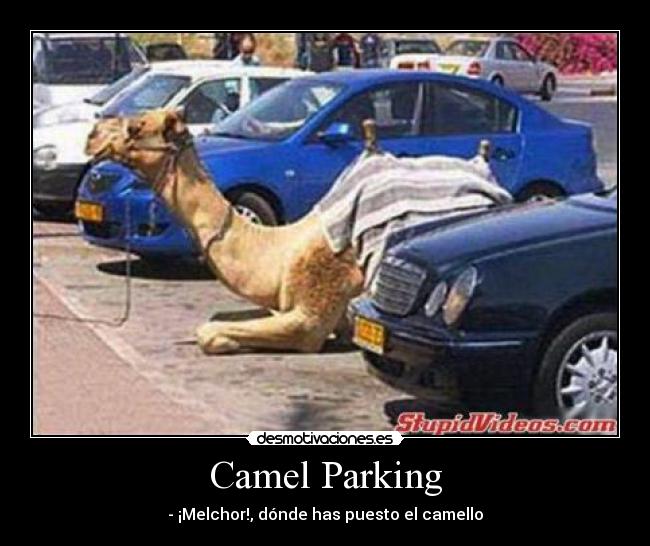 carteles chorradas desmotivaciones