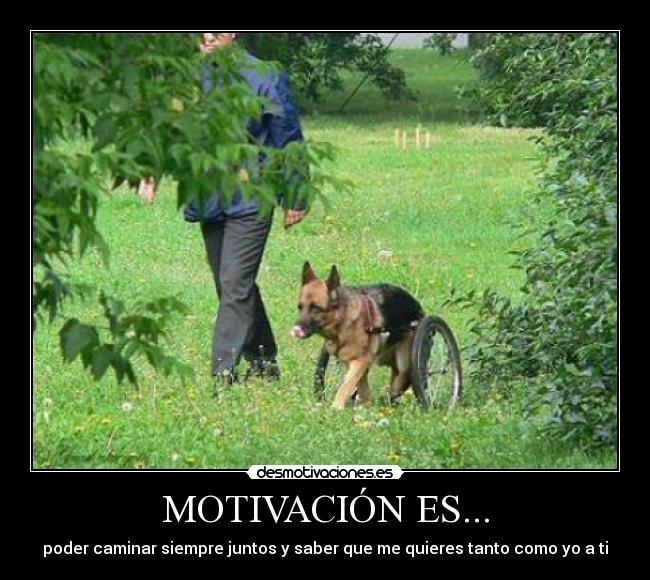 MOTIVACIÓN ES... - 