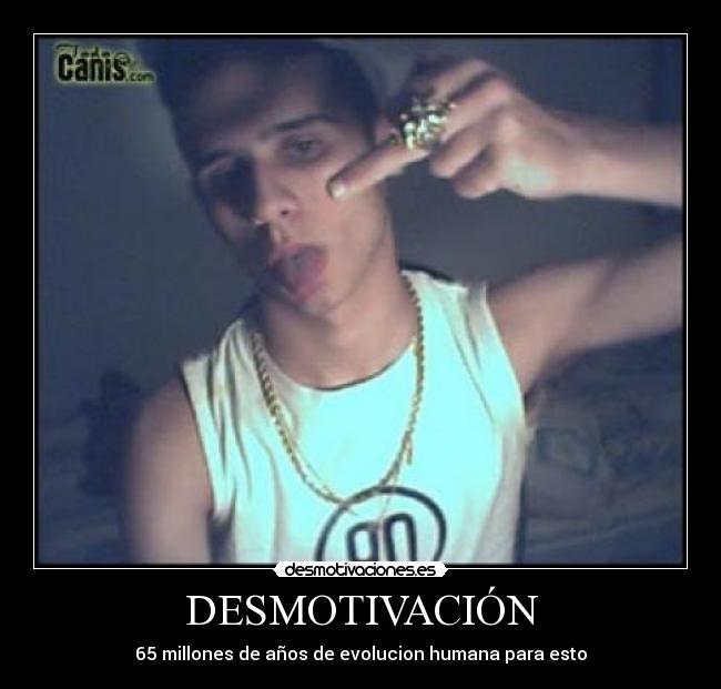 DESMOTIVACIÓN - 65 millones de años de evolucion humana para esto