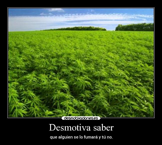 Desmotiva saber - que alguien se lo fumará y tú no.