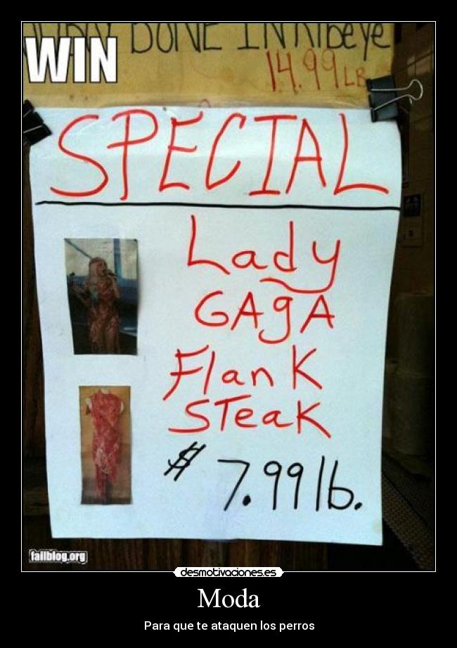 Moda - Para que te ataquen los perros