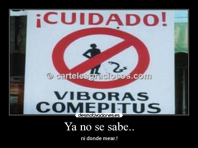 Ya no se sabe.. - ni donde mear.!