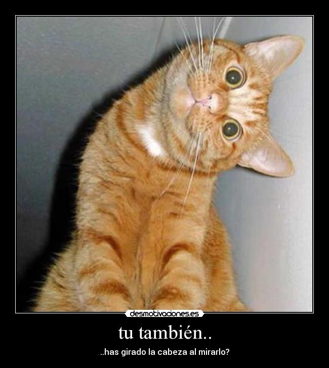 tu también.. - ..has girado la cabeza al mirarlo?