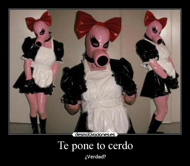 Te pone to cerdo - ¿Verdad?