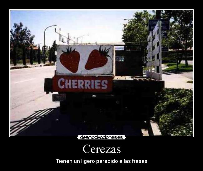 Cerezas - 