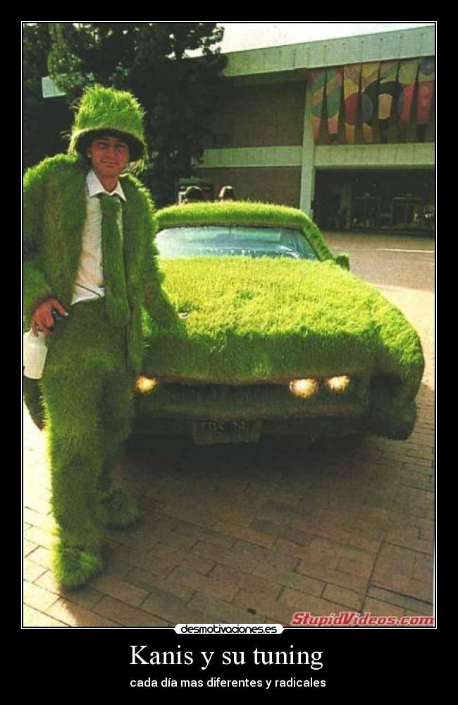 Kanis y su tuning  - 