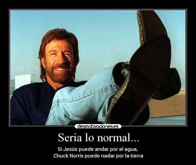 Seria lo normal... - 