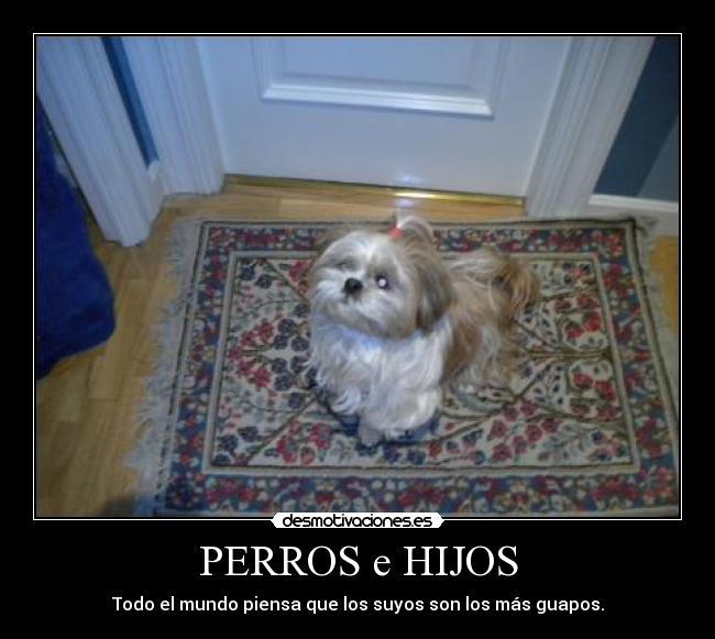 PERROS e HIJOS - Todo el mundo piensa que los suyos son los más guapos.