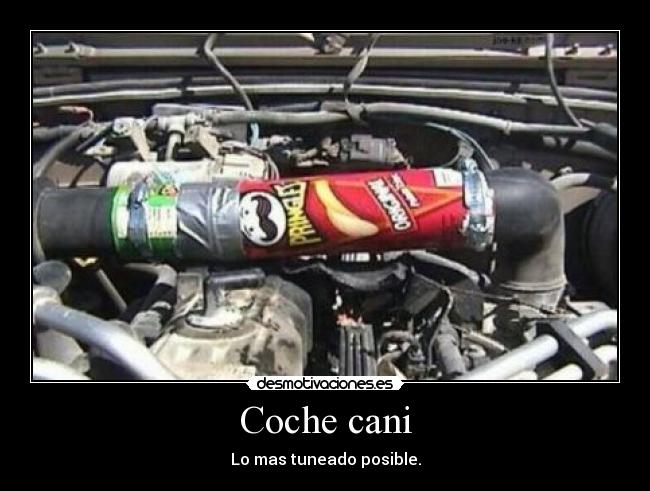 Coche cani -