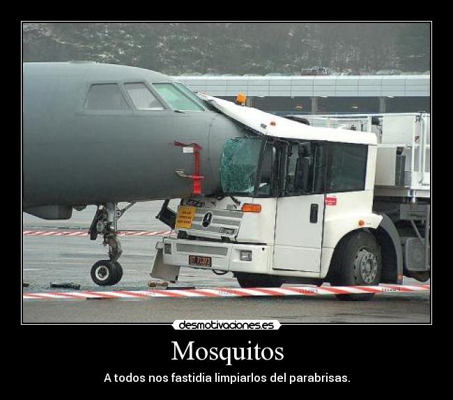 Mosquitos -