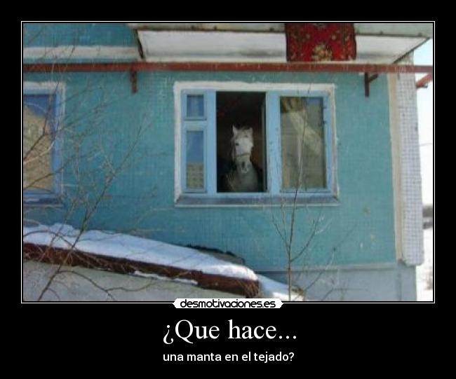 ¿Que hace... -