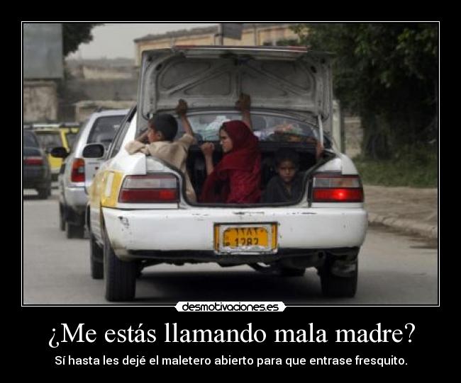 ¿Me estás llamando mala madre? - Sí hasta les dejé el maletero abierto para que entrase fresquito.