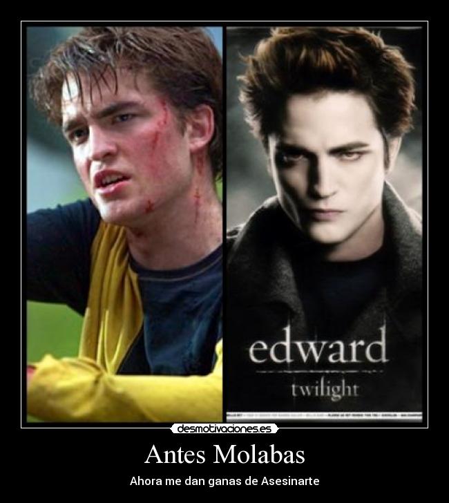carteles edward cullen cedric digorry harry potter puta madre desmotivaciones