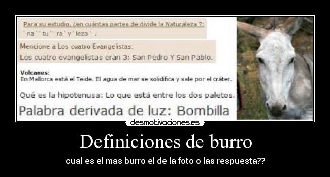 Definiciones de burro -