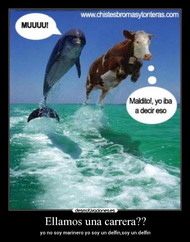 Ellamos una carrera?? - yo no soy marinero yo soy un delfin,soy un delfin
