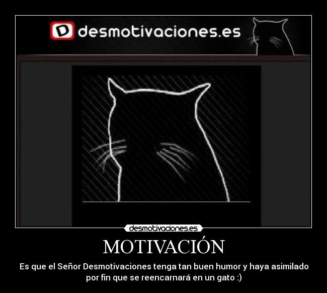 carteles desmotivaciones gato humor desmotivaciones