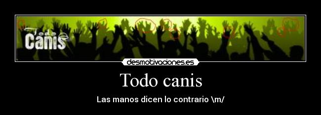 carteles heavy canis desmotivaciones