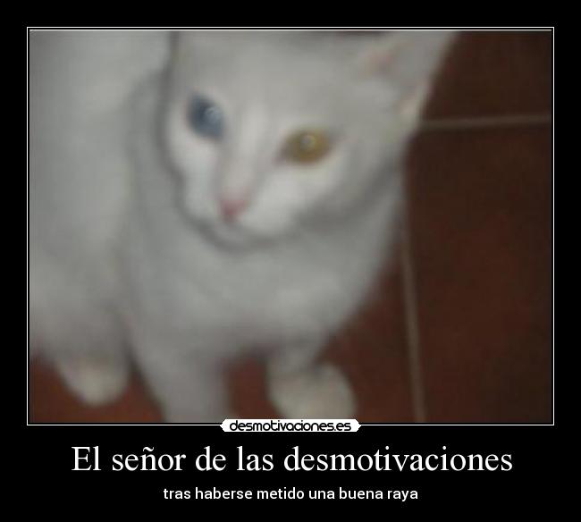 El señor de las desmotivaciones - 