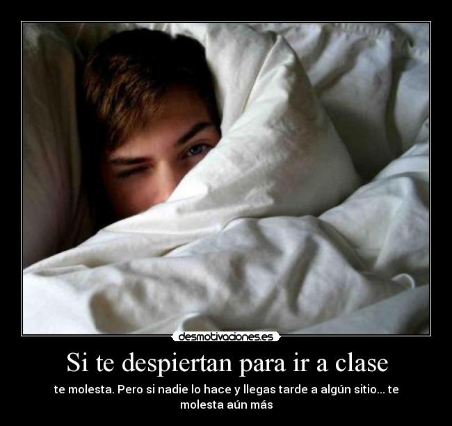 Si te despiertan para ir a clase - 