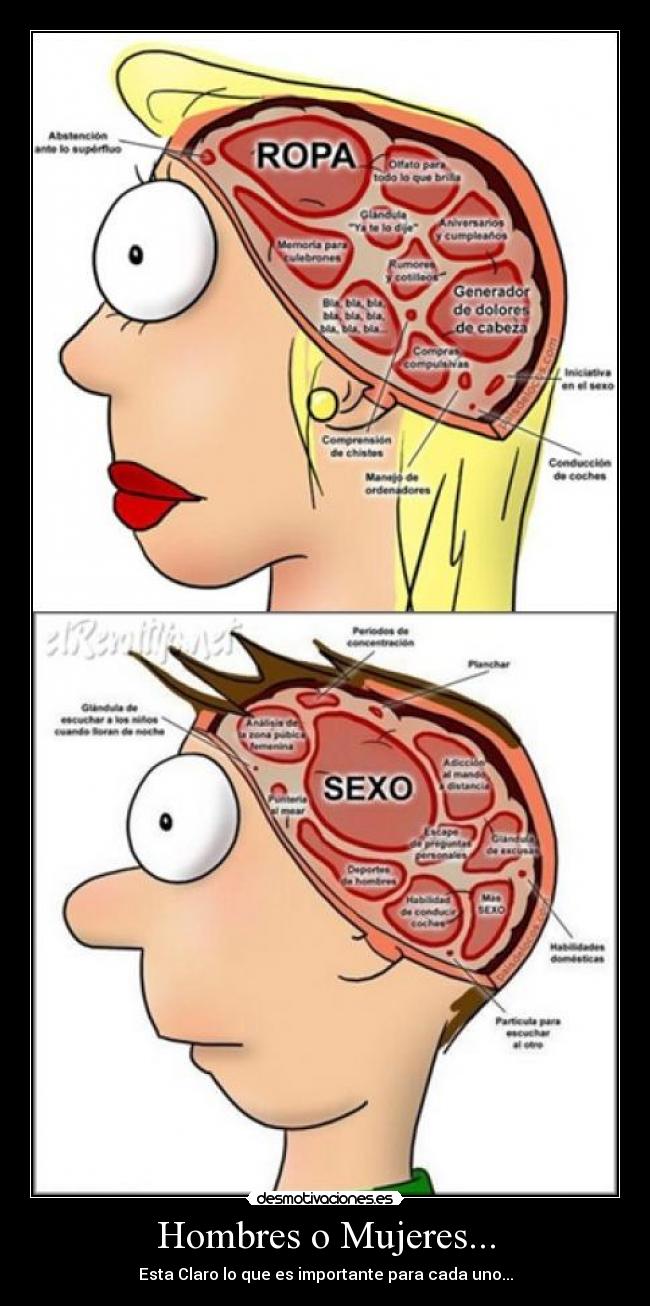 Hombres o Mujeres... - Esta Claro lo que es importante para cada uno...