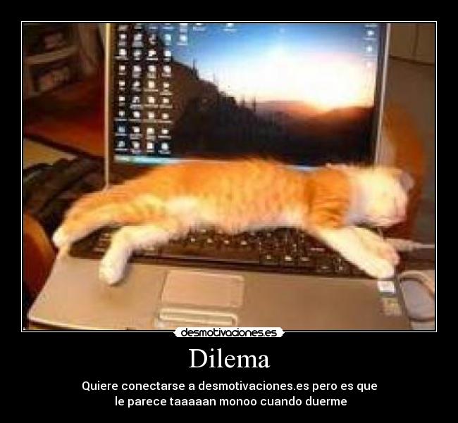 carteles dilema desmotivaciones